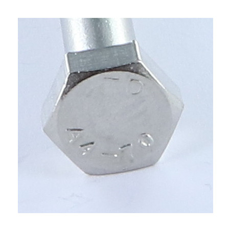 1 x Cuerpo de perno roscado parcial cabeza hexagonal M6X60 Inoxidable A4