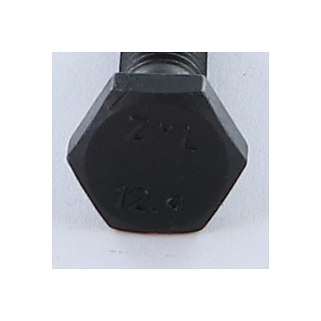 1 x Cuerpo de perno roscado parcial cabeza hexagonal M10X45 Clase 12.9 Acero bruto