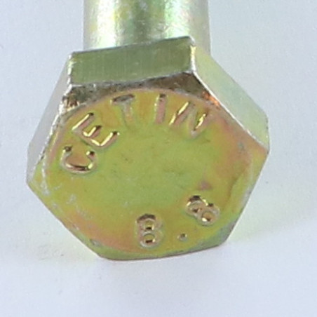 1 x Cuerpo de perno roscado parcial cabeza hexagonal M10X100 Clase 8.8 Bicromato
