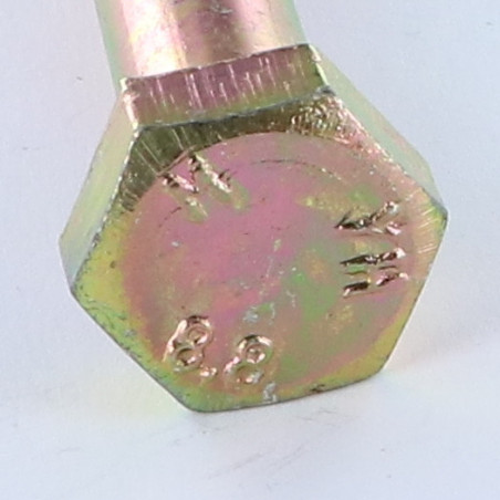 1 x Cuerpo de perno roscado parcial cabeza hexagonal M10X100 Clase 8.8 Bicromato
