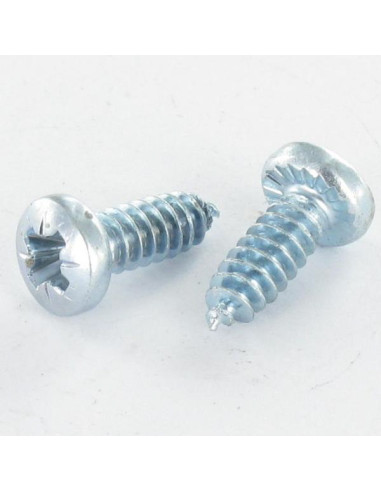 1 x Tornillo pvc cabeza abovedada ancha Pozi...