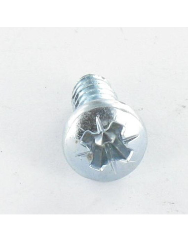 1 x Tornillo pvc cabeza abovedada ancha Pozi...