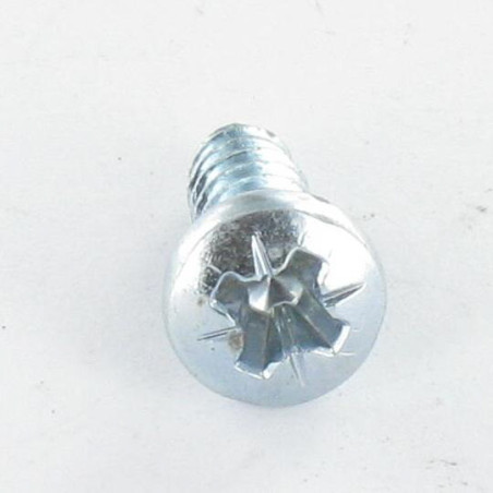 1 x Tornillo pvc cabeza abovedada ancha Pozi dentado 4.3X12 Autoperforante Varilla roscada 30 Acero cincado blanco