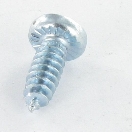 1 x Tornillo pvc cabeza abovedada ancha Pozi dentado 4.3X12 Autoperforante Varilla roscada 30 Acero cincado blanco