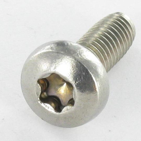 1 x Tornillo autorroscante cabeza cilíndrica abombada TORX T8 M2.5X6 Inoxidable A2 microtornillo