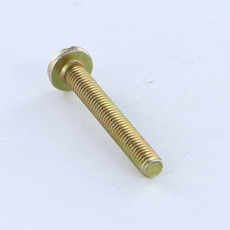 1 x Tornillo metales cabeza cilíndrica ancha ranura M3X12 Bicromato microtornillo