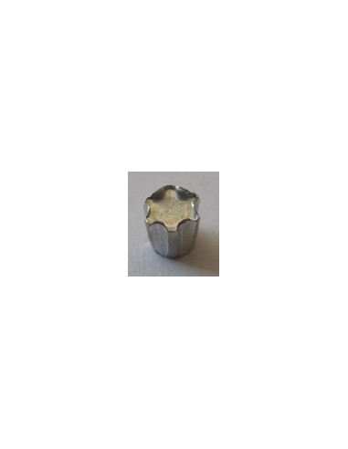 1 x ELEMENTO ANTIINTRUSIÓN TORX T45 Zamak