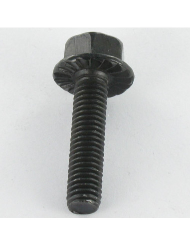 1 x Tornillo metales cabeza hexagonal M8X30...