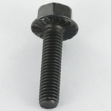1 x Tornillo metales cabeza hexagonal M8X30 Acero cincado negro resalto reborde dentado