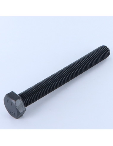 1 x Tornillo metales cabeza hexagonal M14X80...