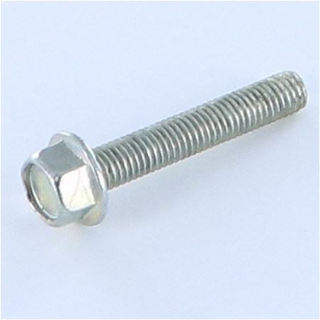 1 x Tornillo metales cabeza hexagonal M5X30 Acero cincado blanco resalto reborde dentado