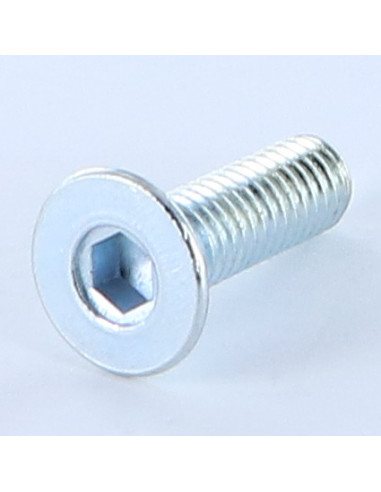 1 x Tornillo metales FHC cabeza fresada cavidad...