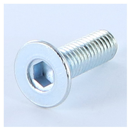 1 x Tornillo metales FHC cabeza fresada cavidad hexagonal hueca M6X20 llave de 4 Acero cincado blanco