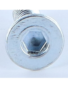 Tornillo metales FHC cabeza fresada cavidad hexagonal... 2