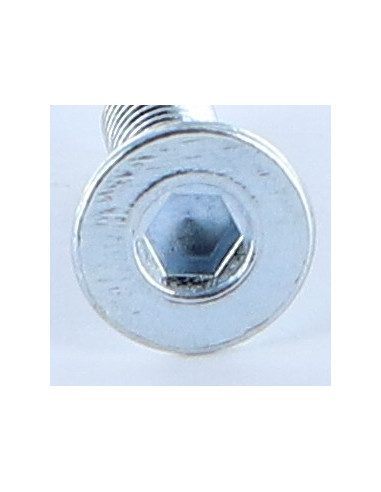 1 x Tornillo metales FHC cabeza fresada cavidad...