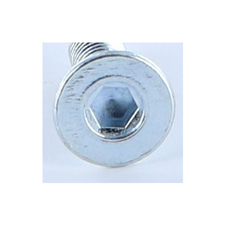 1 x Tornillo metales FHC cabeza fresada cavidad hexagonal hueca M6X20 llave de 4 Acero cincado blanco