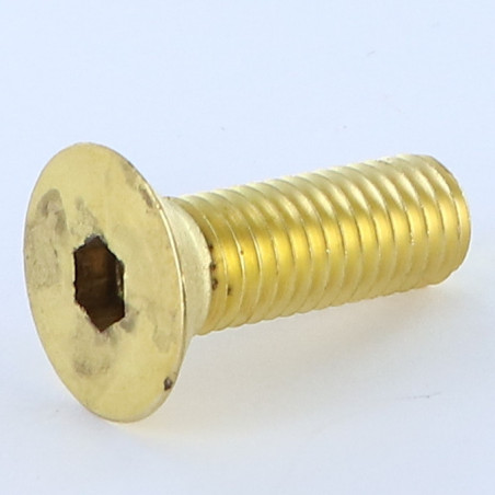 1 x Tornillo metales Latón llave de 6 FHC cabeza fresada cavidad hexagonal hueca M10X30