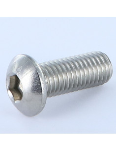 Tornillo metales Cabeza Abombada con Hueco hexagonal...