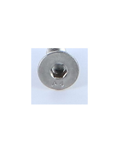 1 x Tornillo metales FHC cabeza fresada cavidad...