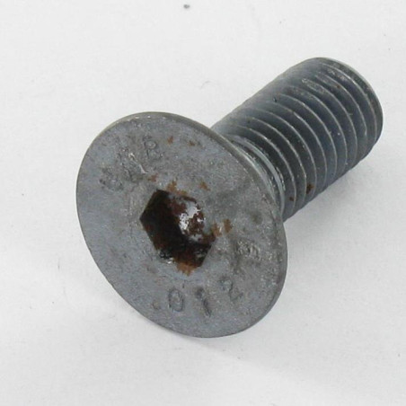 1 x Tornillo metales FHC cabeza fresada cavidad hexagonal hueca M6X12 Clase 12.9 llave de 4 Acero bruto