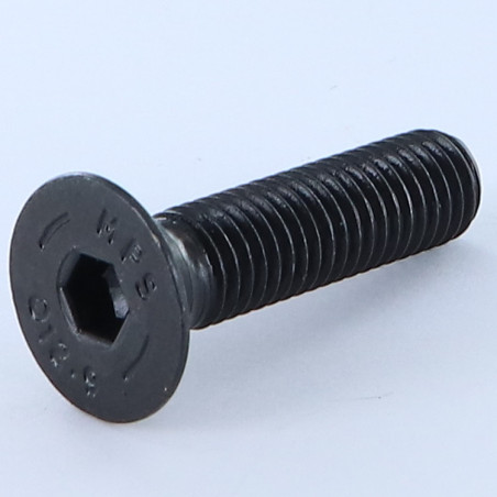 1 x Tornillo metales FHC cabeza fresada cavidad hexagonal hueca M10X40 Clase 12.9 llave de 6 Acero bruto