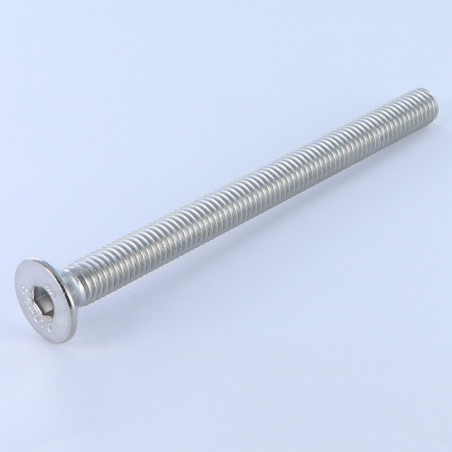 1 x Tornillo metales FHC cabeza fresada cavidad hexagonal hueca llave de 4 M6X100 roscado total Inoxidable A4