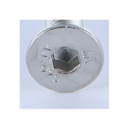1 x Tornillo metales FHC cabeza fresada cavidad hexagonal hueca llave de 4 M6X100 roscado total Inoxidable A4