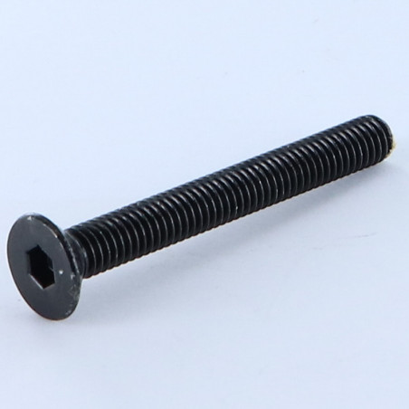 1 x Tornillo metales FHC cabeza fresada cavidad hexagonal hueca M6X55 llave de 4 Acero cincado negro