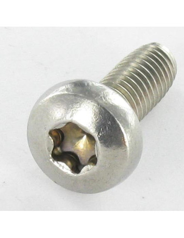 1 x Tornillo autorroscante cabeza cilíndrica...