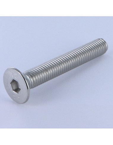 1 x Tornillo metales FHC cabeza fresada cavidad...