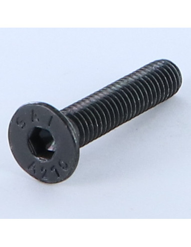 1 x Tornillo metales Inoxidable A2 FHC cabeza...