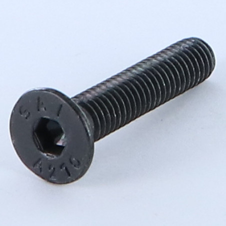 1 x Tornillo metales Inoxidable A2 FHC cabeza fresada cavidad hexagonal hueca llave de 4 M6X30 Negro roscado total