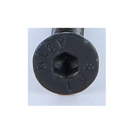 1 x Tornillo metales Inoxidable A2 FHC cabeza fresada cavidad hexagonal hueca llave de 4 M6X30 Negro roscado total
