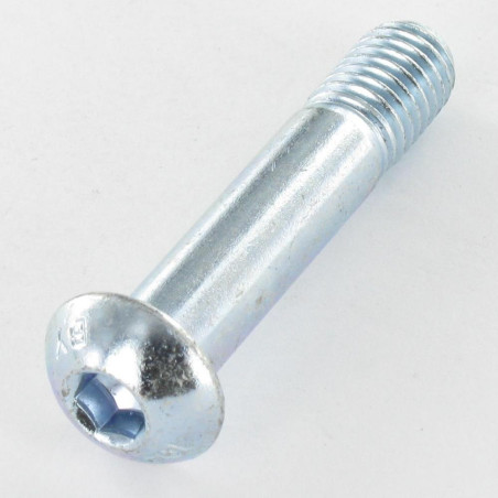 1 x Tornillo metales Cabeza Abombada con Hueco hexagonal M10X50 roscado en 13 clase 10.9 llave de 6 Acero cincado blanco