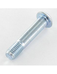 Tornillo metales Cabeza Abombada con Hueco hexagonal... 2