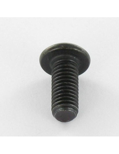1 x Tornillo metales Cabeza Abombada con Hueco...