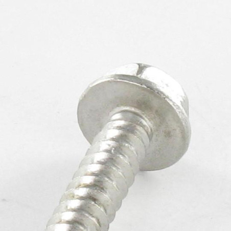1 x Tornillo autoperforante cabeza hexagonal 4.2X19 Inoxidable A2