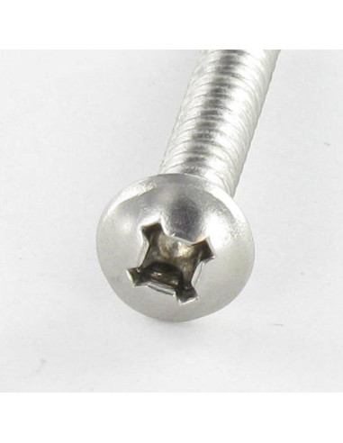 1 x Tornillo autoperforante cabeza cilíndrica...
