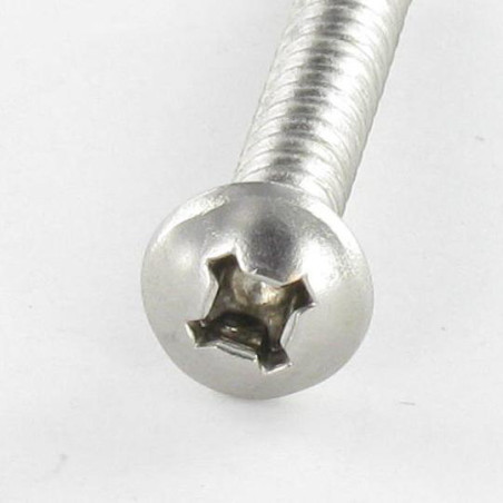 1 x Tornillo autoperforante cabeza cilíndrica cuadrado phillips 4.8X80 SQ2+PH2 Inoxidable A2