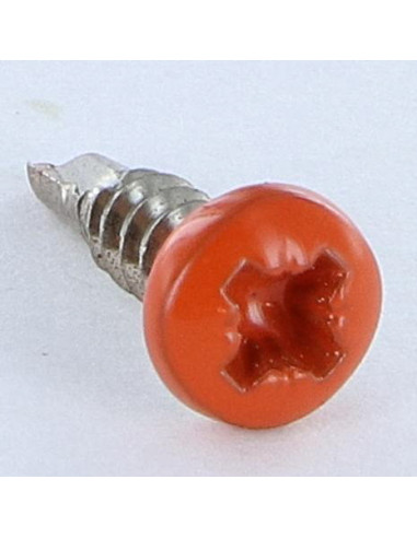 1 x Tornillo autoperforante Inoxidable A2...