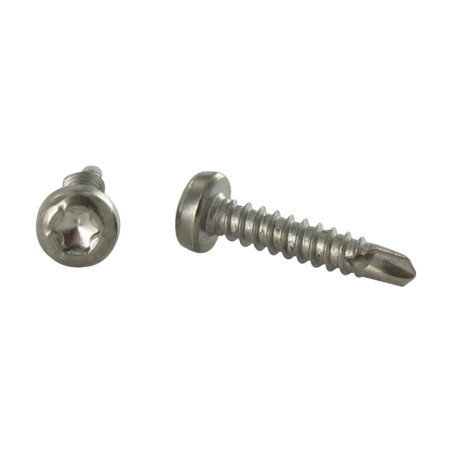 1 x Tornillo autoperforante cabeza cilíndrica TORX T15 3.9X19 Inoxidable A4
