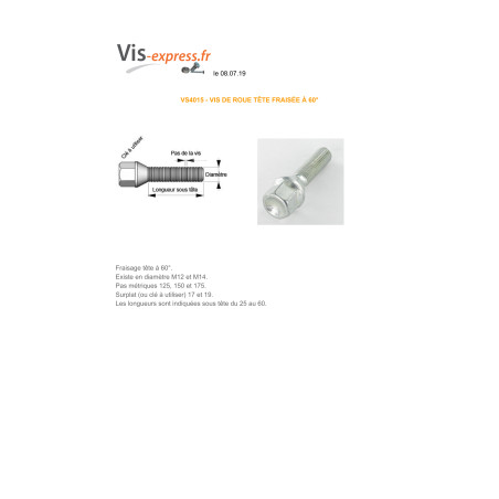 1 x Tornillos RUEDA M12X45 paso de 125 S/PL19 clase 10.9 Acero cincado blanco