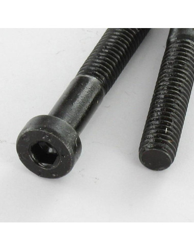 1 x Tornillo metales CHC BTR llave de 8 M12X25...