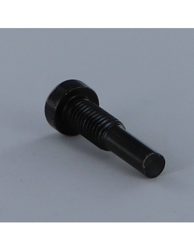 1 x Tornillo metales CHC BTR llave de 5 M8X32...