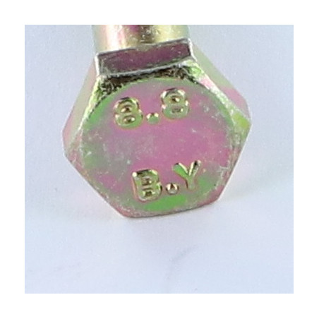 1 x Cuerpo de perno roscado parcial cabeza hexagonal M6X40 Clase 8.8 Bicromato