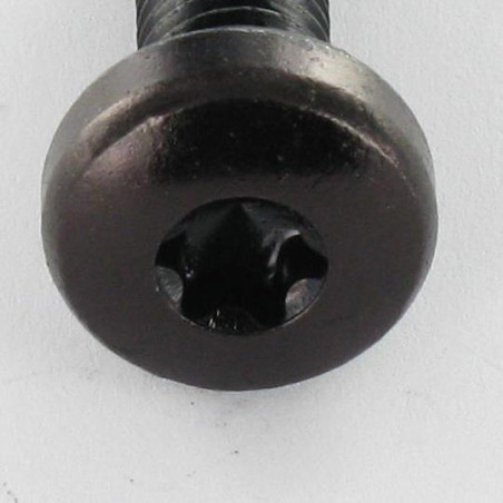 1 x Tornillo metales cabeza abovedada ancha M4X6 TORX T20 Acero cincado negro