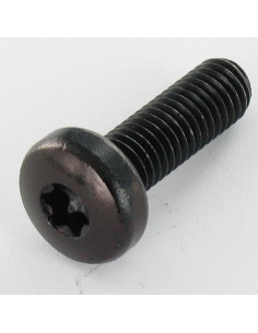 Tornillo metales cabeza abovedada ancha TORX T30 M6X10...