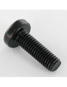 Tornillo metales cabeza abovedada ancha TORX T30 M6X10... 2