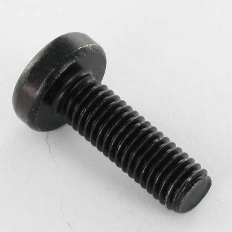 1 x Tornillo metales cabeza abovedada ancha TORX T30 M6X12 Acero cincado negro