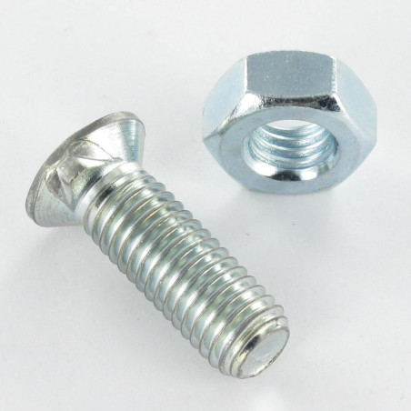 1 x CUERPO Cabeza fresada cuello cuadrado 2 Cornezuelos 8X200 Acero cincado blanco